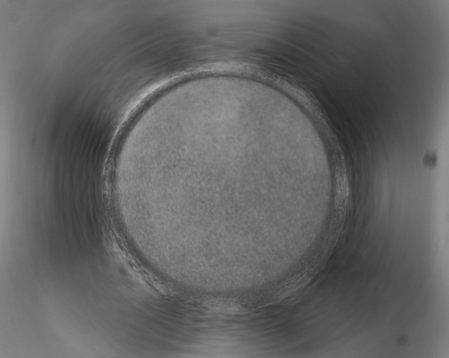 X0000115070628200912081149
