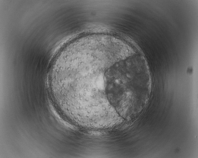 X0000115070629200912081149