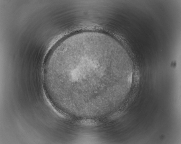 X0000115070630200912081149
