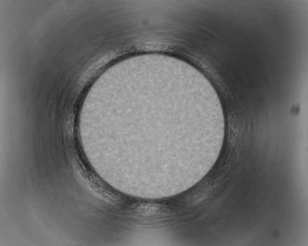 X0000115070631200912081149