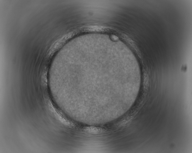 X0000115070633200912081149