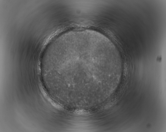 X0000115070634200912081149