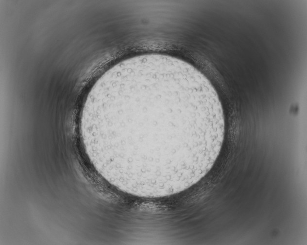 X0000115070635200912081149