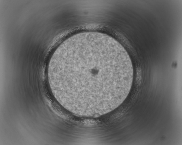 X0000115070636200912081149