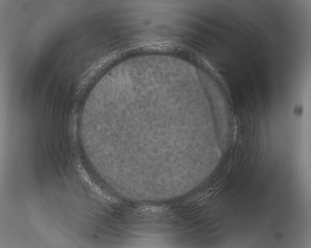 X0000115070637200912081149