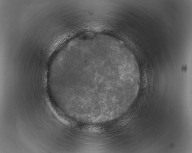 X0000115070638200912081149