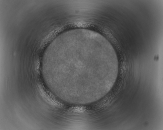 X0000115070639200912081149