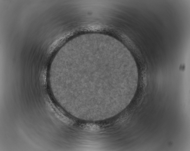 X0000115070640200912081149