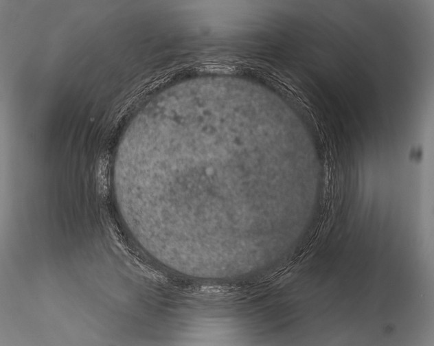 X0000115070641200912081149