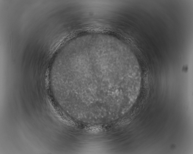 X0000115070642200912081149