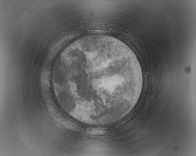 X0000115070643200912081149