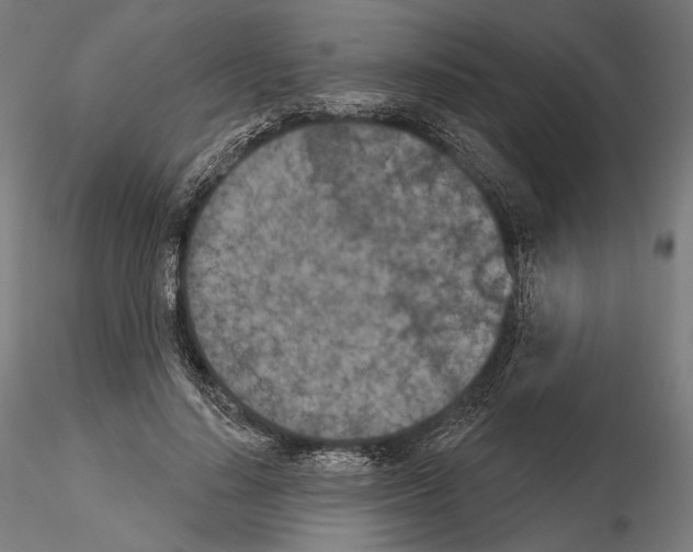 X0000115070644200912081149