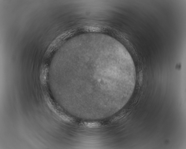 X0000115070645200912081149