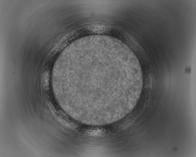 X0000115070646200912081149