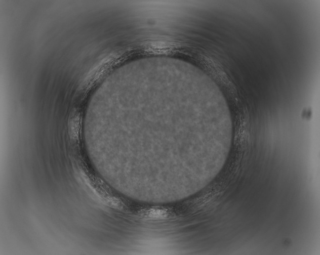 X0000115070647200912081149