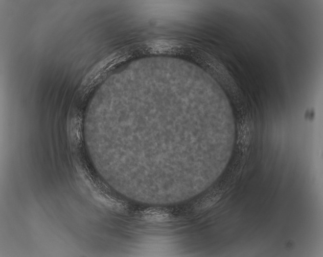 X0000115070648200912081149