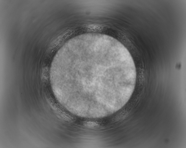 X0000115070649200912081149