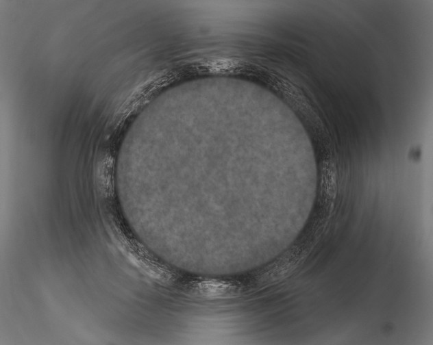 X0000115070650200912081149