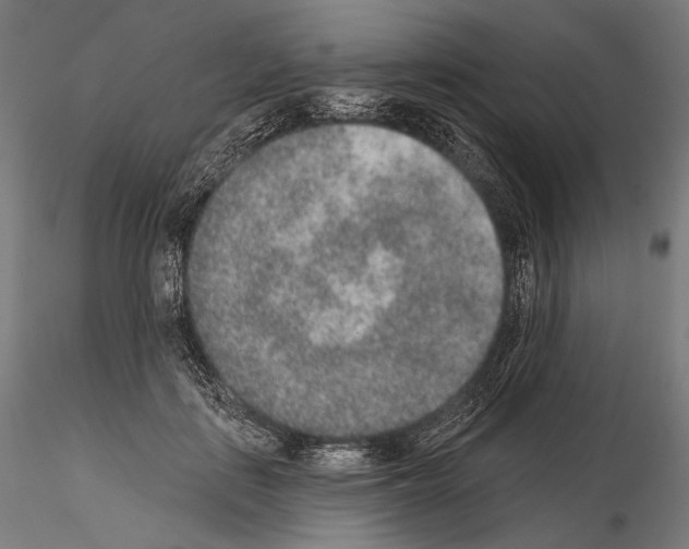 X0000115070651200912081149
