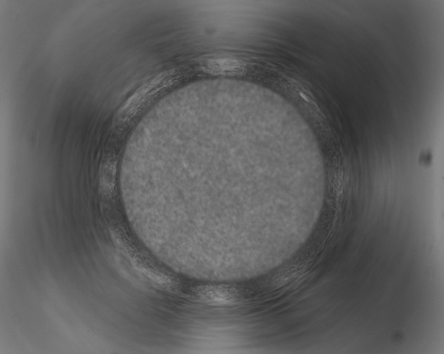 X0000115070652200912081149