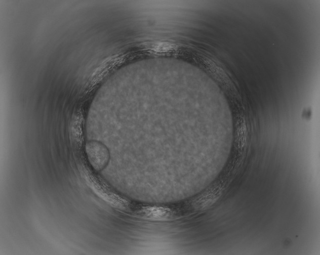 X0000115070654200912081149
