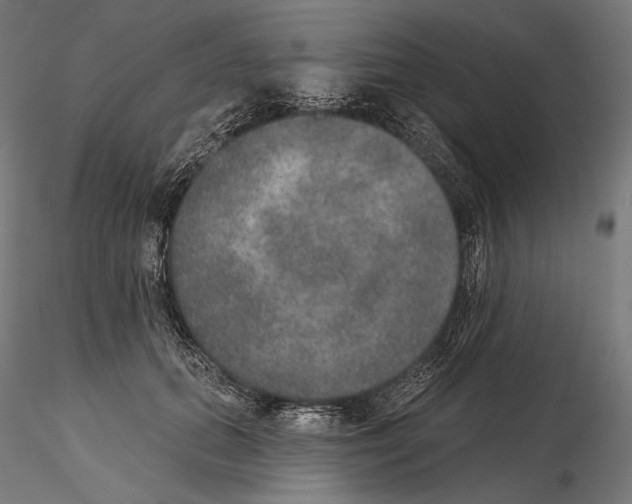 X0000115070655200912081149