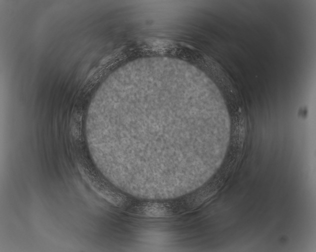 X0000115070656200912081149