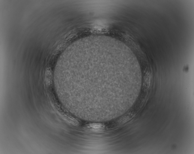 X0000115070659200912081149