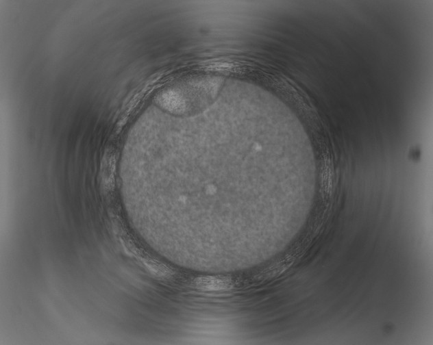 X0000115070660200912081149