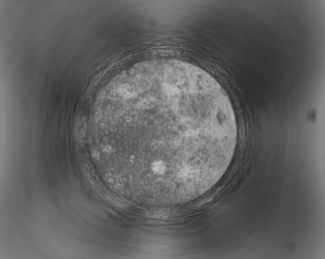 X0000115070661200912081149
