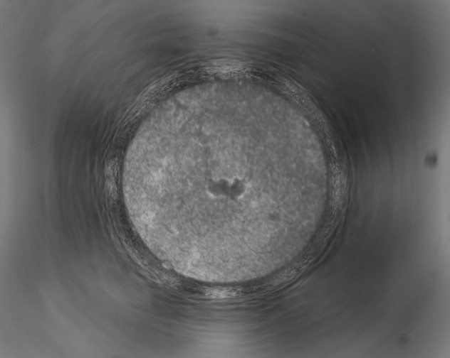 X0000115070662200912081149