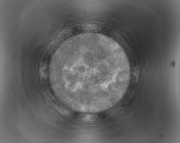 X0000115070663200912081149