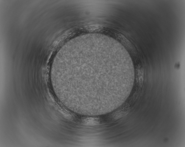 X0000115070664200912081149