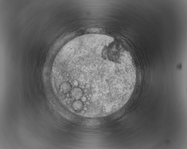 X0000115070665200912081149