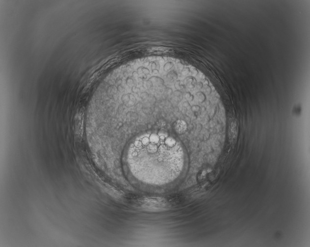 X0000115070666200912081149