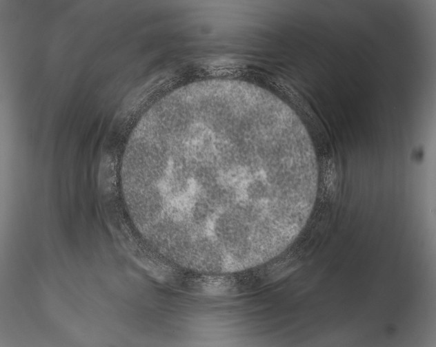 X0000115070667200912081149