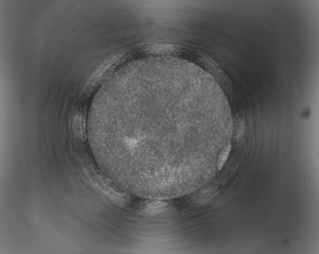 X0000115070669200912081149