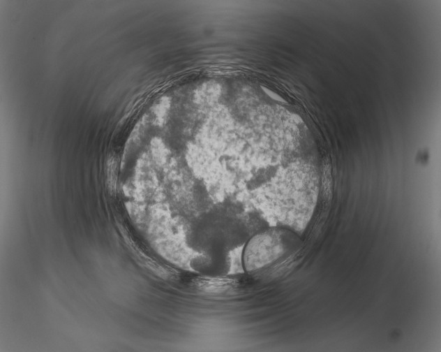 X0000115070670200912081149