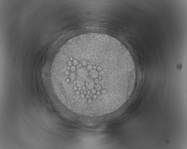X0000115070671200912081149