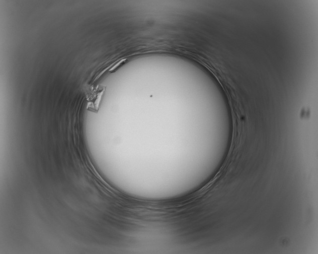 X0000115070672200912081149