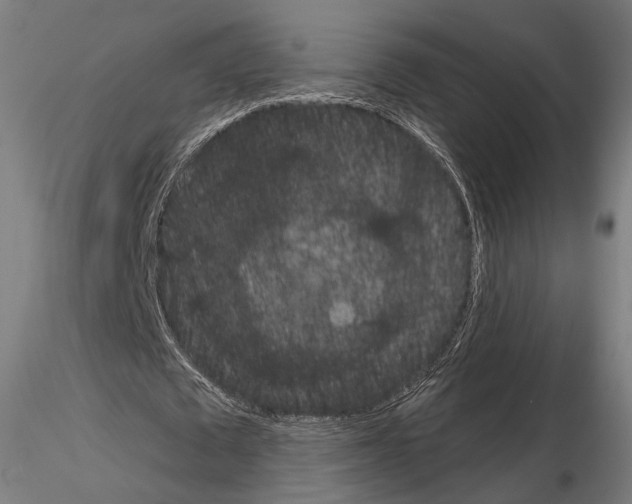 X0000115070673200912081148