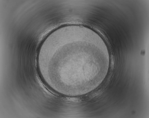 X0000115070677200912081148