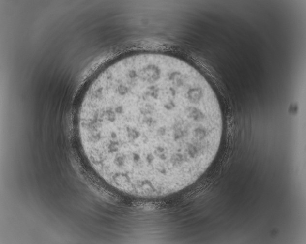 X0000115070679200912081148