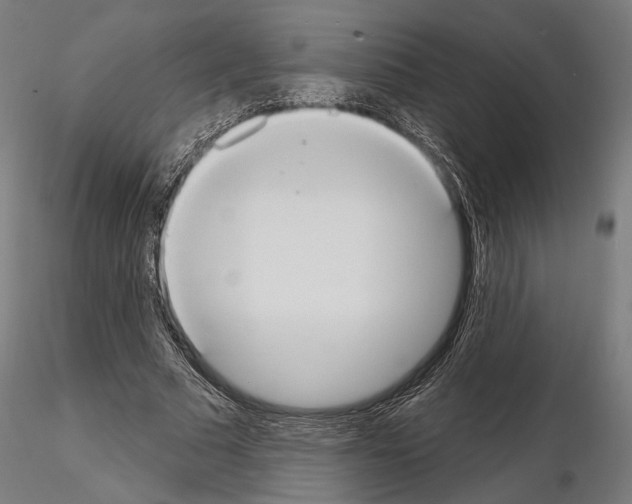 X0000115070681200912081148