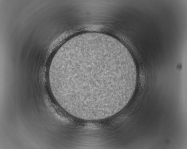 X0000115070682200912081148