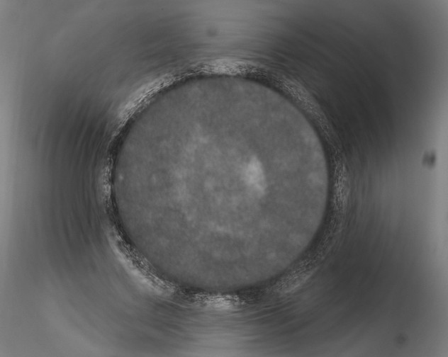 X0000115070683200912081148