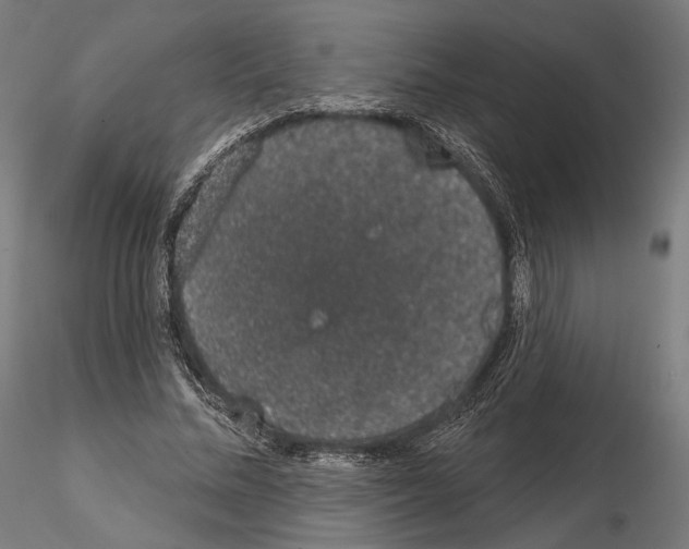 X0000115070684200912081148