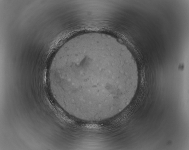 X0000115070685200912081148