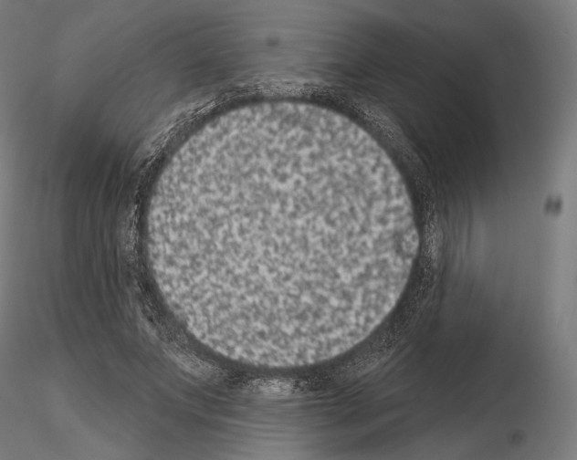X0000115070687200912081148