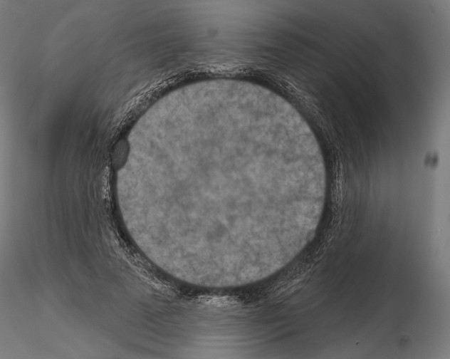 X0000115070689200912081148